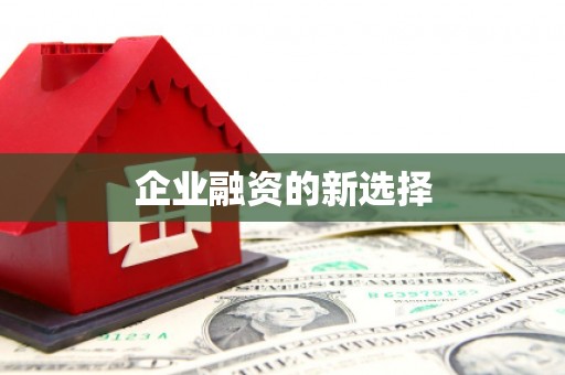 官渡企业融资的新选择