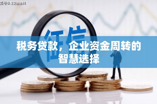 官渡税务贷款，企业资金周转的智慧选择
