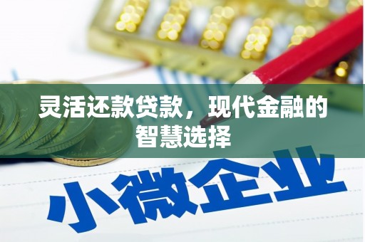 官渡灵活还款贷款，现代金融的智慧选择