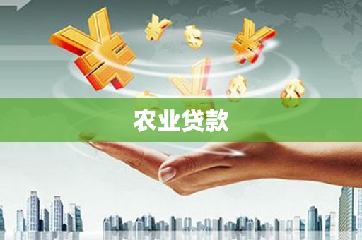 官渡农业贷款