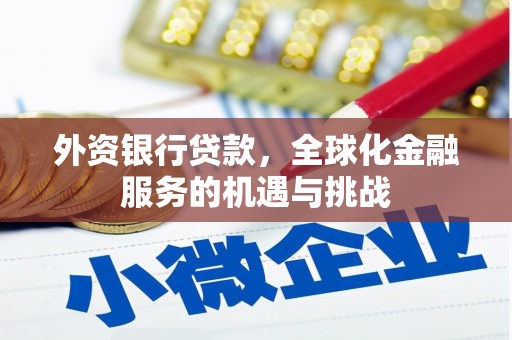 官渡外资银行贷款，全球化金融服务的机遇与挑战