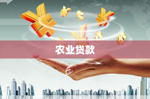 官渡农业贷款