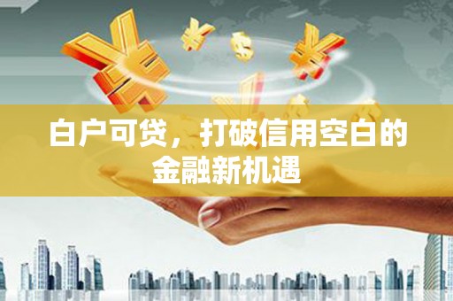 官渡白户可贷，打破信用空白的金融新机遇