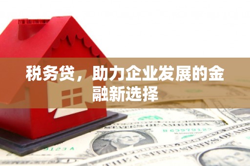 官渡税务贷，助力企业发展的金融新选择