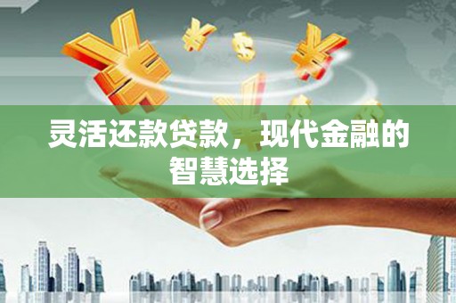 官渡灵活还款贷款，现代金融的智慧选择
