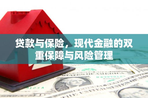 官渡贷款与保险，现代金融的双重保障与风险管理
