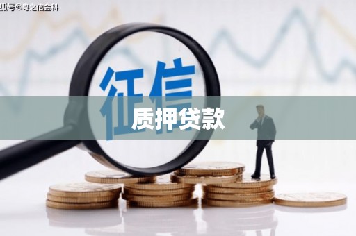 官渡质押贷款