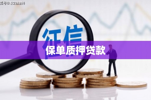 官渡保单质押贷款