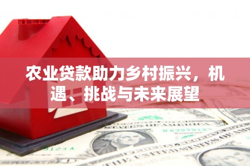 官渡农业贷款助力乡村振兴，机遇、挑战与未来展望