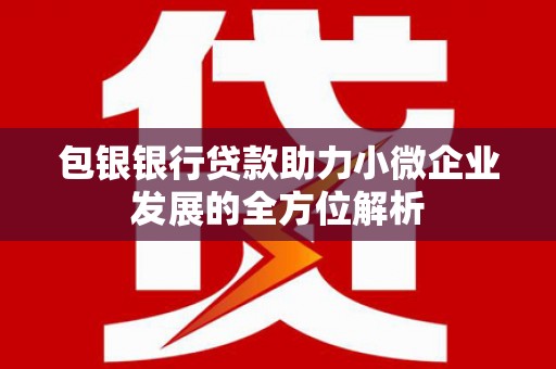 官渡包银银行贷款助力小微企业发展的全方位解析