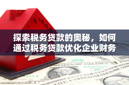 官渡探索税务贷款的奥秘，如何通过税务贷款优化企业财务