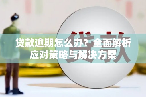官渡贷款逾期怎么办？全面解析应对策略与解决方案