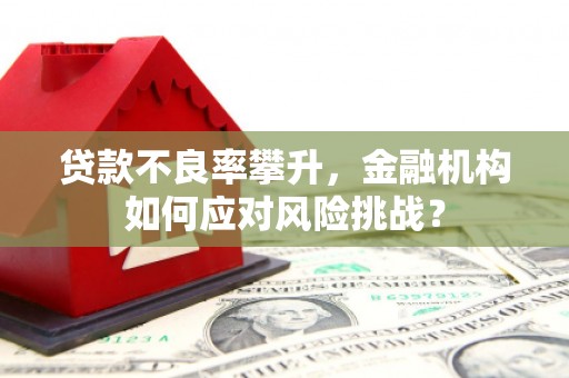 官渡贷款不良率攀升，金融机构如何应对风险挑战？