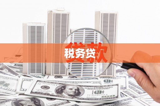 官渡税务贷