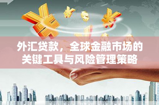 官渡外汇贷款，全球金融市场的关键工具与风险管理策略