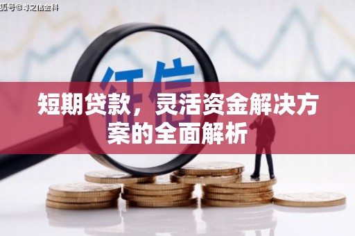 官渡短期贷款，灵活资金解决方案的全面解析