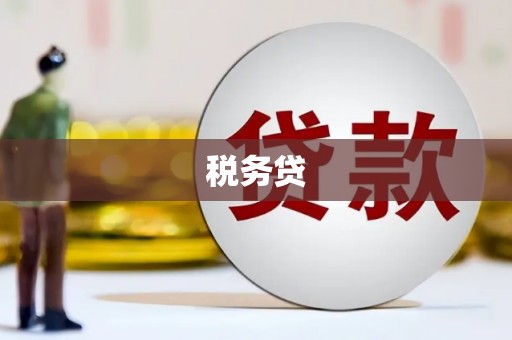 官渡税务贷