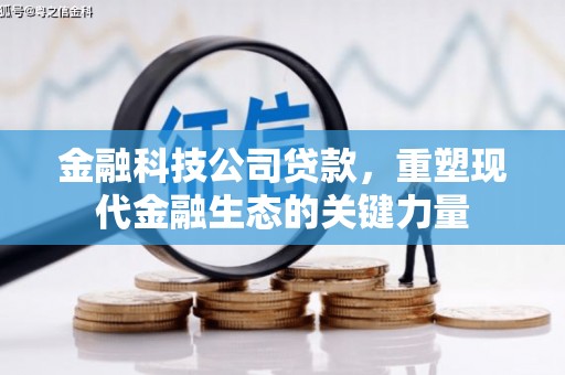 官渡金融科技公司贷款，重塑现代金融生态的关键力量