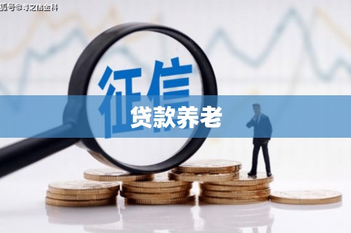 官渡贷款养老