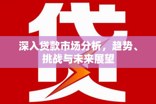 官渡深入贷款市场分析，趋势、挑战与未来展望