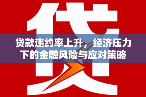 官渡贷款违约率上升，经济压力下的金融风险与应对策略