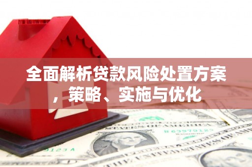 官渡全面解析贷款风险处置方案，策略、实施与优化