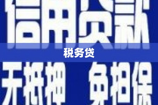 官渡税务贷