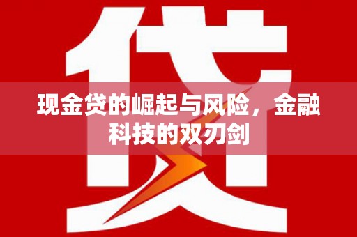 官渡现金贷的崛起与风险，金融科技的双刃剑