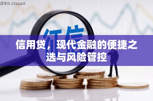 官渡信用贷，现代金融的便捷之选与风险管控