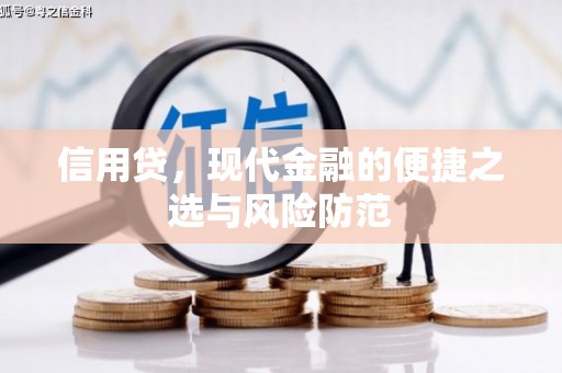 官渡信用贷，现代金融的便捷之选与风险防范