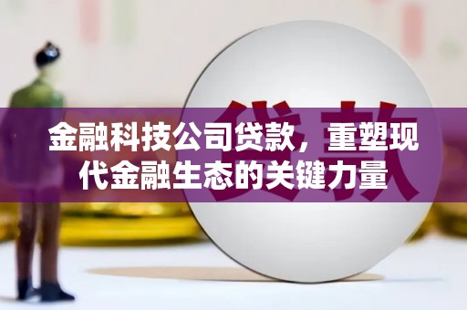 官渡金融科技公司贷款，重塑现代金融生态的关键力量