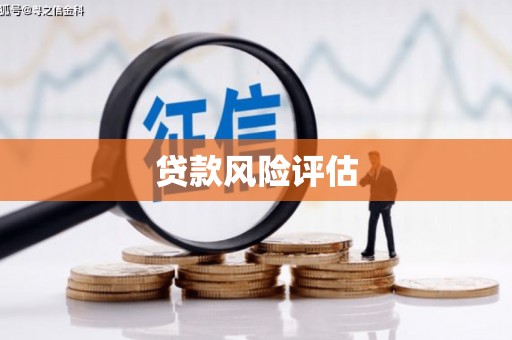 官渡贷款风险评估
