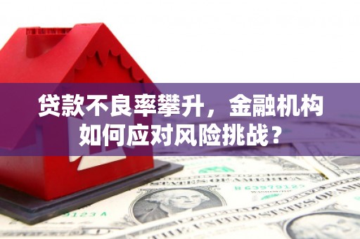 官渡贷款不良率攀升，金融机构如何应对风险挑战？