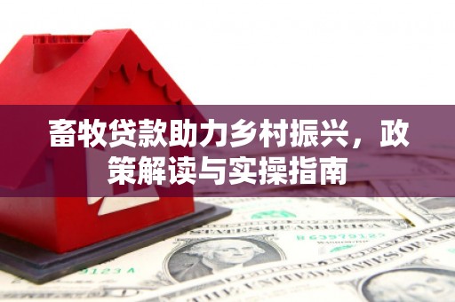 官渡畜牧贷款助力乡村振兴，政策解读与实操指南