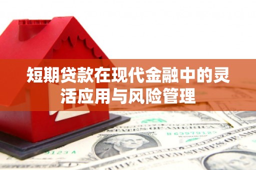 官渡短期贷款在现代金融中的灵活应用与风险管理