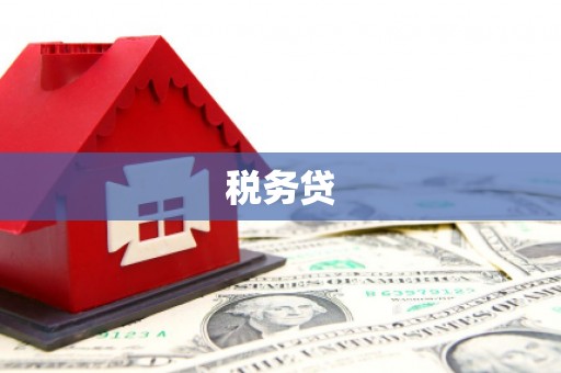 官渡税务贷