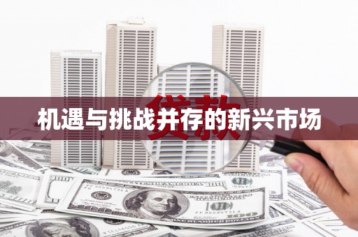 官渡机遇与挑战并存的新兴市场
