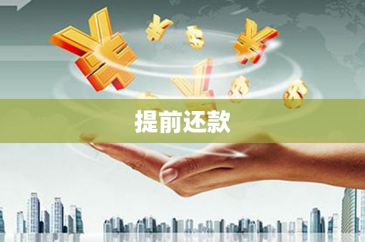官渡提前还款