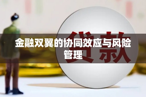 官渡金融双翼的协同效应与风险管理