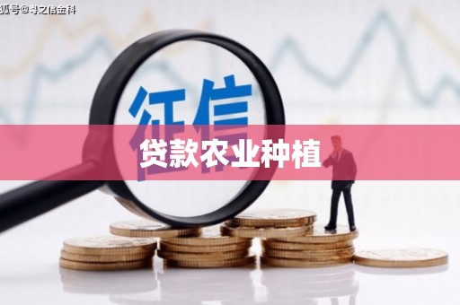 官渡贷款农业种植