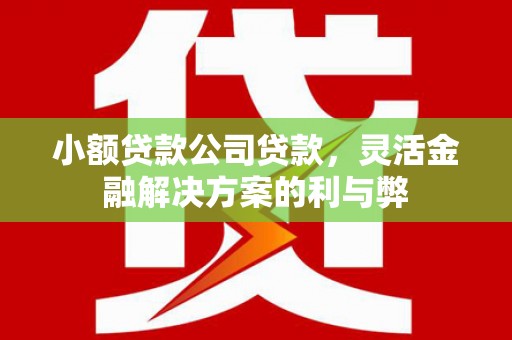 官渡小额贷款公司贷款，灵活金融解决方案的利与弊